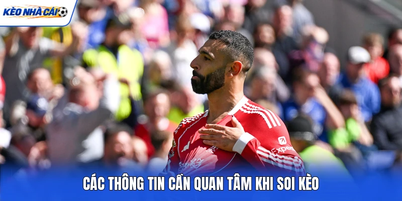 Các thông tin cần quan tâm khi soi kèo Các thông tin cần quan tâm khi soi kèo