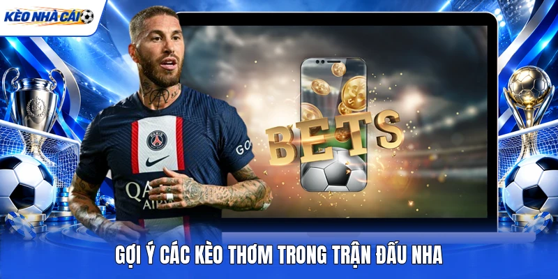 Gợi ý các kèo thơm trong trận đấu NHA Gợi ý các kèo thơm trong trận đấu NHA