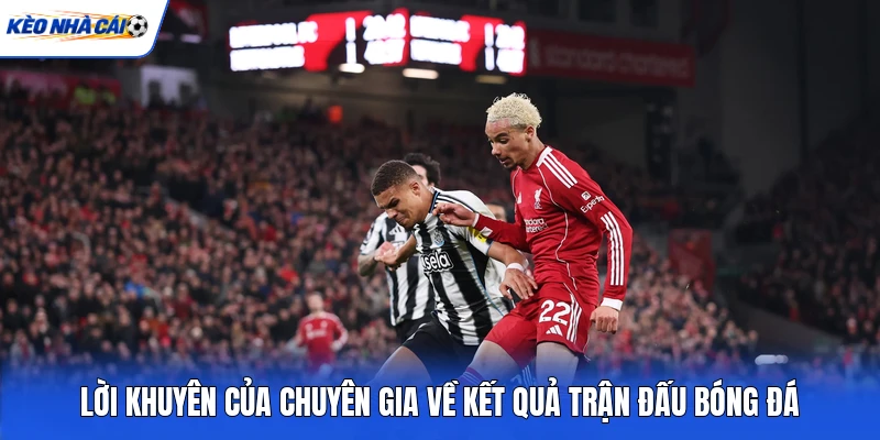 Lời khuyên của chuyên gia về kết quả trận đấu bóng đá Lời khuyên của chuyên gia về kết quả trận đấu bóng đá