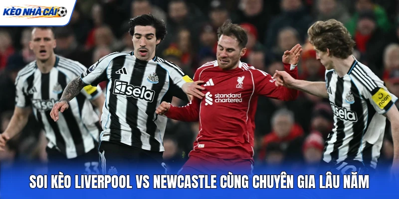 Soi kèo Liverpool vs Newcastle cùng chuyên gia lâu năm Soi kèo Liverpool vs Newcastle cùng chuyên gia lâu năm