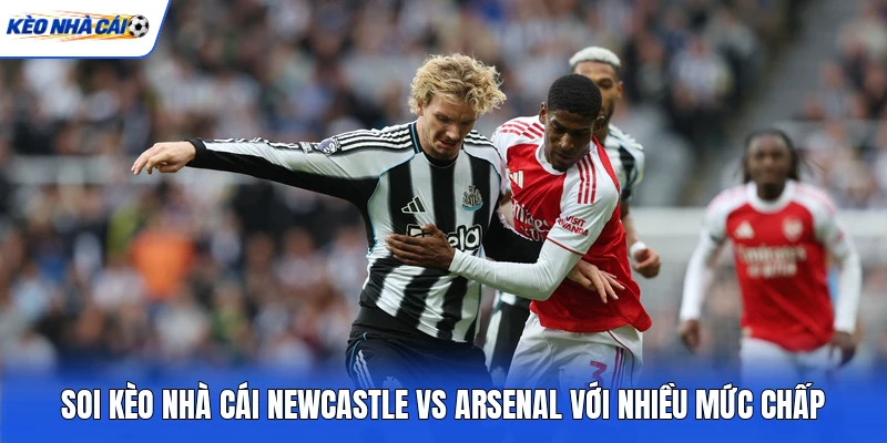 Soi kèo nhà cái Newcastle vs Arsenal với nhiều mức chấp Soi kèo nhà cái Newcastle vs Arsenal với nhiều mức chấp