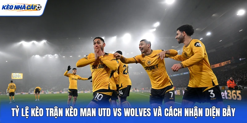 Tỷ lệ kèo trận kèo Man Utd vs Wolves và cách nhận diện bẫy Tỷ lệ kèo trận kèo Man Utd vs Wolves và cách nhận diện bẫy